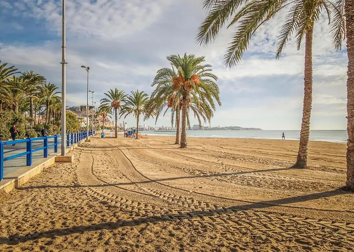 Apartment Lovely In Alacant With Wifi